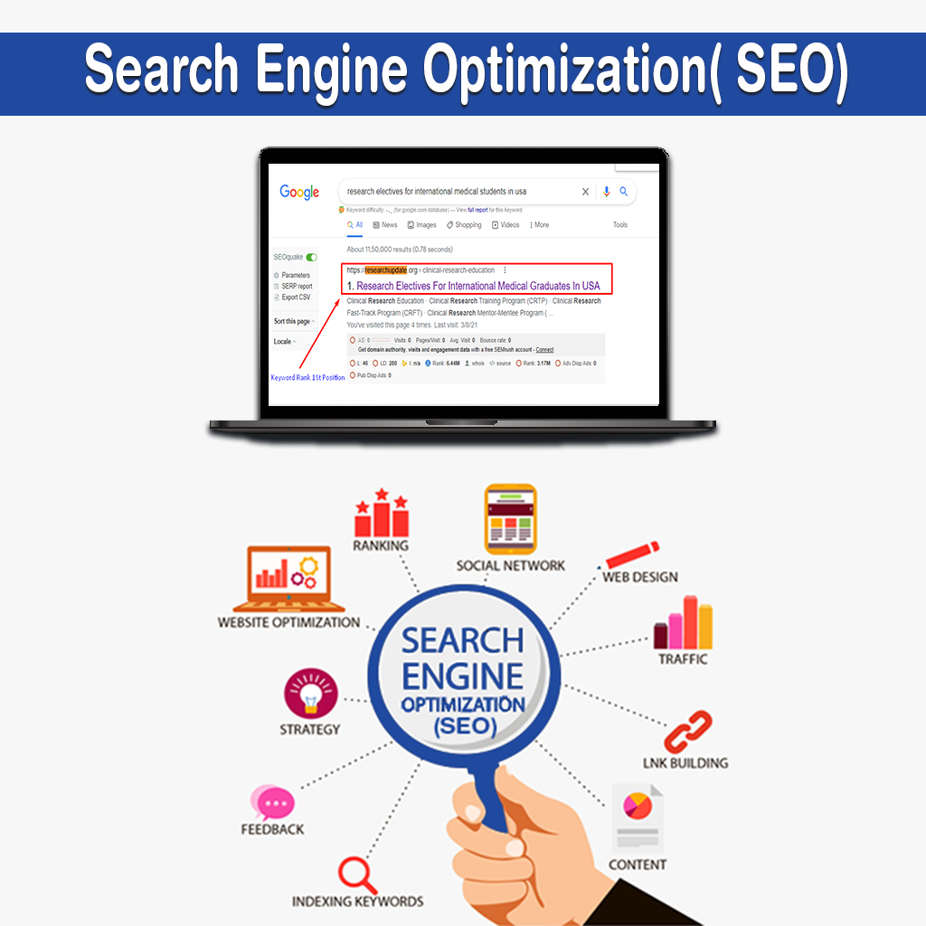 Search Engine Optimization (SEO)
